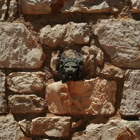 Pelani Stonehouse *